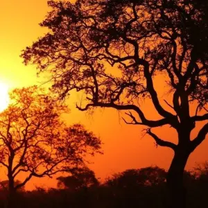 Explore Etosha Safari Adventure, Self-drive for 5 days with ATC Group and discover unforgettable experiences - Photo 5