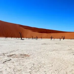 Explore Sossusvlei Region Short Break, Private Tour (On Request) for 4 days with ATC Group and discover unforgettable experiences - Photo 6