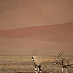 Explore Beautiful Contrasts of Southern Namibia, Private Tour (On Request) for 7 days with ATC Group and discover unforgettable experiences - Photo 5