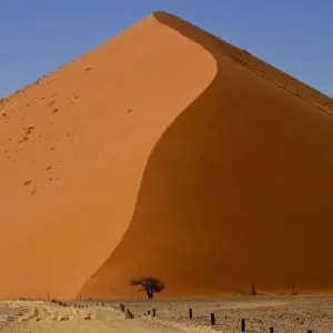 Explore Deserts of Namibia, Private Tour (On Request) for 7 days with ATC Group and discover unforgettable experiences - Photo 5