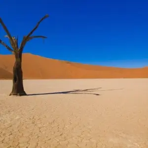 Explore Deserts of Namibia, Private Tour (On Request) for 7 days with ATC Group and discover unforgettable experiences - Photo 6