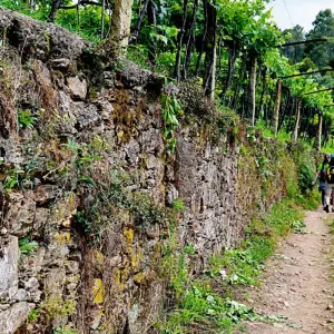 Explore Portuguese Way of St. James Along the Coast from Porto to Santiago for 15 days with Abanico Individuell Reisen and discover unforgettable experiences - Photo 4