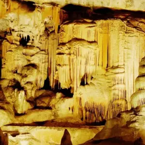 Explore Cape Town, Garden Route and Eastern Cape for 12 days with ATC Group and discover unforgettable experiences - Photo 9