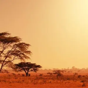 Explore Deserts of Namibia, Private Tour (On Request) for 7 days with ATC Group and discover unforgettable experiences - Photo 8