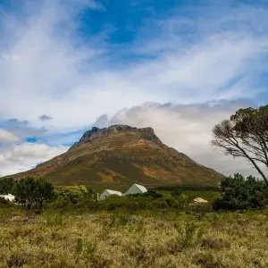 Explore Cape Town's Culture and Cuisine, Private tour for 5 days with ATC Group and discover unforgettable experiences - Photo 9