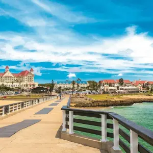 Explore Cape Town, Garden Route and Eastern Cape for 12 days with ATC Group and discover unforgettable experiences - Photo 11
