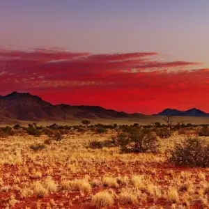 Explore Beautiful Contrasts of Southern Namibia, Private Tour (On Request) for 7 days with ATC Group and discover unforgettable experiences - Photo 9