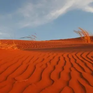 Explore Deserts of Namibia, Private Tour (On Request) for 7 days with ATC Group and discover unforgettable experiences - Photo 9