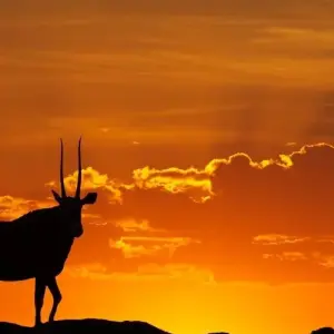 Explore Beautiful Contrasts of Southern Namibia, Private Tour (On Request) for 7 days with ATC Group and discover unforgettable experiences - Photo 10