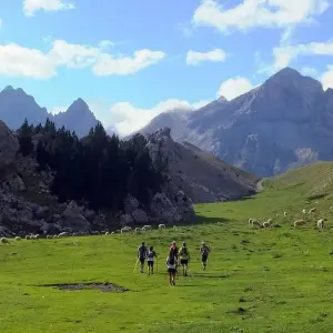 Explore Transpirenaica on the GR-11 for 15 days with Abanico Individuell Reisen and discover unforgettable experiences - Photo 8