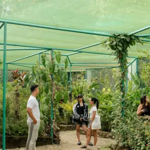 Explore Bohol and Siquijor 5-Day Adventure for 5 days with Abraham Tours Philippines and discover unforgettable experiences - Photo 2