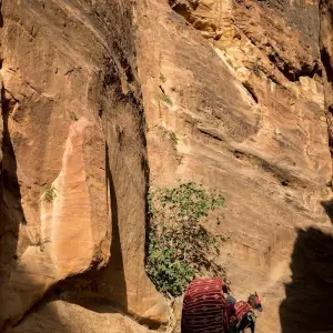 Explore Petra and Wadi Rum 3-Day Tour from Jerusalem for 3 days with Abraham Tours and discover unforgettable experiences - Photo 5