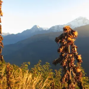 Explore Everest View Trek for 8 days with Above The Himalaya Trekking and discover unforgettable experiences - Photo 5