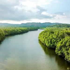 Explore Bohol Tour Package: 3-Day Paradise Adventure for 3 days with Abraham Tours Philippines and discover unforgettable experiences - Photo 6