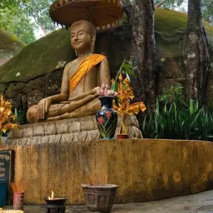 Explore Phnom Kulen National Park Jungle Private Day Tour from Siem Reap for 1 days with About Cambodia Travel & Tours and discover unforgettable experiences - Photo 2