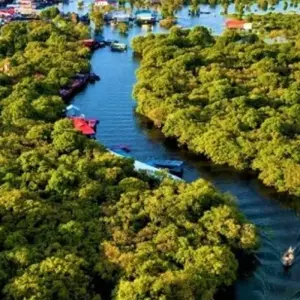 Explore Prek Toal Birds Sanctuary and Tonle Sap Lake floating Village Private Boat  Tour for 1 days with About Cambodia Travel & Tours and discover unforgettable experiences - Photo 4