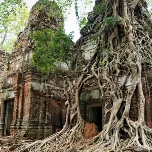 Explore Amazing Cambodia Highlight 23 Days Tour for 23 days with About Cambodia Travel & Tours and discover unforgettable experiences - Photo 8