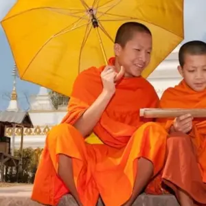 Explore Laos 7 Days tour from Vientiane to Vang Vieng and Luang Prabang for 7 days with About Cambodia Travel & Tours and discover unforgettable experiences - Photo 9