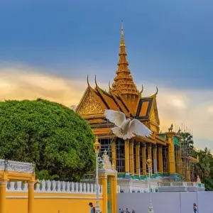 Explore Phnom Penh City and Koh Dach Silk Island Private Day Tour for 1 days with About Cambodia Travel & Tours and discover unforgettable experiences - Photo 7