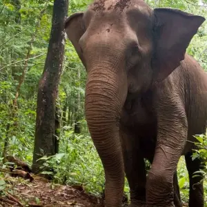 Explore Discover Cambodia 16 Days with Local Expert Private Tour for 16 days with About Cambodia Travel & Tours and discover unforgettable experiences - Photo 6