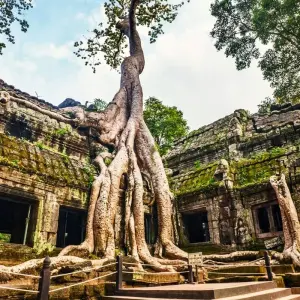 Explore Highlight of Cambodia 5 Days Tour From Siem Reap to Phnom Penh for 5 days with About Cambodia Travel & Tours and discover unforgettable experiences - Photo 10