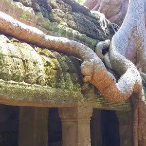 Explore Private Siem Reap Highlight 5 Days Tour for All Angkor Temples for 5 days with About Cambodia Travel & Tours and discover unforgettable experiences - Photo 6