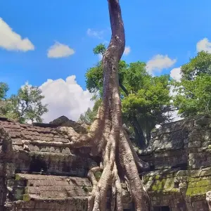 Explore Private Angkor Wat Sunrise with All Angkor Highlight Temples 2 Days Tour for 2 days with About Cambodia Travel & Tours and discover unforgettable experiences - Photo 9