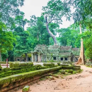 Explore Private Angkor Wat 2 Days Tour for All Highlight Angkor Temples for 2 days with About Cambodia Travel & Tours and discover unforgettable experiences - Photo 6