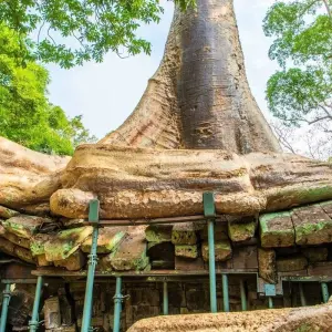 Explore Angkor Wat one Day Private Tour for All Highlight Angkor Temples for 1 days with About Cambodia Travel & Tours and discover unforgettable experiences - Photo 4