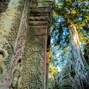 Explore Angkor Wat one Day Private Tour for All Highlight Angkor Temples for 1 days with About Cambodia Travel & Tours and discover unforgettable experiences - Photo 5