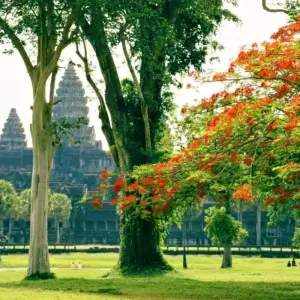 Explore Cambodia 7 Days for Siem Reap and Battambang by River Cruise and Overland tour for 7 days with About Cambodia Travel & Tours and discover unforgettable experiences - Photo 7