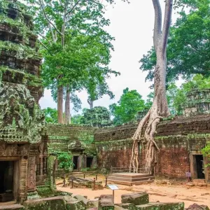 Explore Angkor Wat one Day Private Tour for All Highlight Angkor Temples for 1 days with About Cambodia Travel & Tours and discover unforgettable experiences - Photo 8