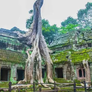 Explore Discover Cambodia from Phnom Penh to Siem Reap 8 Days Tour for 8 days with About Cambodia Travel & Tours and discover unforgettable experiences - Photo 9