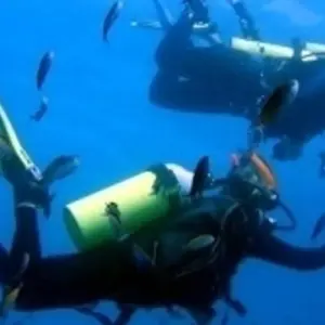 Explore Wildlife and Spice Island for 35 days with Absolute Africa and discover unforgettable experiences - Photo 2