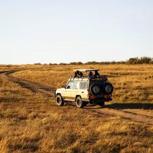 Explore The Gorilla Trek for 22 days with Absolute Africa and discover unforgettable experiences - Photo 4