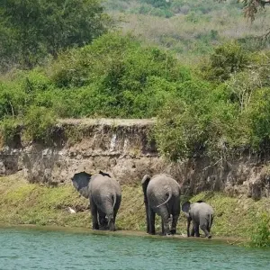 Explore Wildlife Wanderer for 60 days with Absolute Africa and discover unforgettable experiences - Photo 2