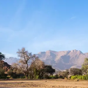 Explore The Big Six for 54 days with Absolute Africa and discover unforgettable experiences - Photo 4