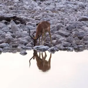 Explore The Southern Cross for 37 days with Absolute Africa and discover unforgettable experiences - Photo 5
