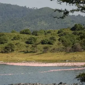 Explore Wildlife and Spice Island for 35 days with Absolute Africa and discover unforgettable experiences - Photo 5