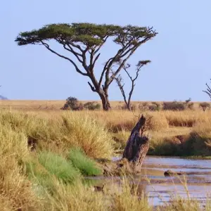 Explore African Adventurer for 31 days with Absolute Africa and discover unforgettable experiences - Photo 7
