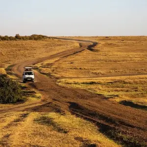 Explore Wildlife and Spice Island for 35 days with Absolute Africa and discover unforgettable experiences - Photo 8