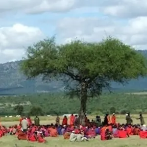 Explore The Gorilla Trek for 22 days with Absolute Africa and discover unforgettable experiences - Photo 10