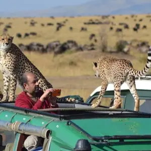 Explore Kenya and Tanzania, the Component for 14 days with Absolute Africa and discover unforgettable experiences - Photo 7