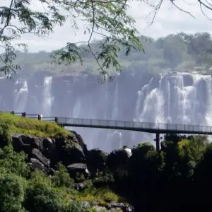 Explore The Big Six for 54 days with Absolute Africa and discover unforgettable experiences - Photo 10