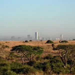 Explore African Adventurer for 31 days with Absolute Africa and discover unforgettable experiences - Photo 9