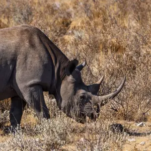 Explore The Southern Cross for 37 days with Absolute Africa and discover unforgettable experiences - Photo 10