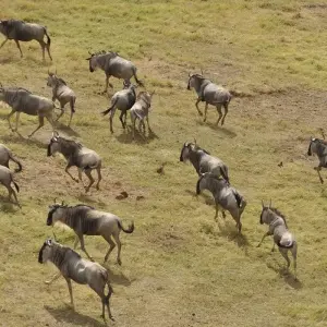 Explore African Sky for 19 days with Absolute Africa and discover unforgettable experiences - Photo 2