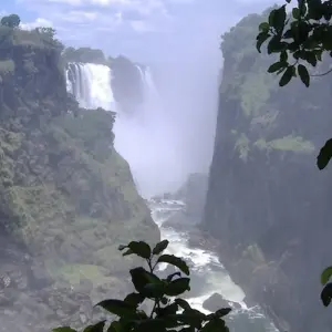 Explore Wild Dogs and Victoria Falls for 12 days with Absolute Africa and discover unforgettable experiences - Photo 3