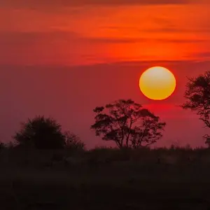 Explore Botswana Safari for 6 days with Absolute Africa and discover unforgettable experiences - Photo 3
