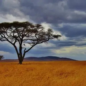 Explore African Sky for 19 days with Absolute Africa and discover unforgettable experiences - Photo 5